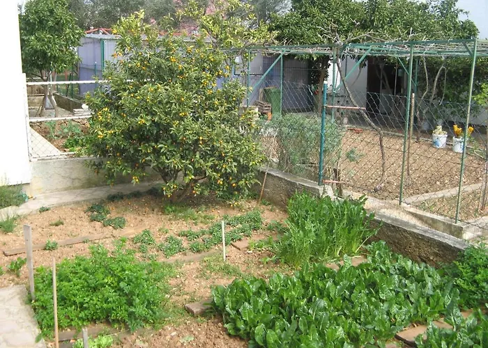 Διαμέρισμα Otok